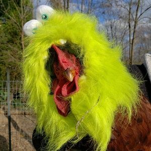 Meet your Posher, Robin